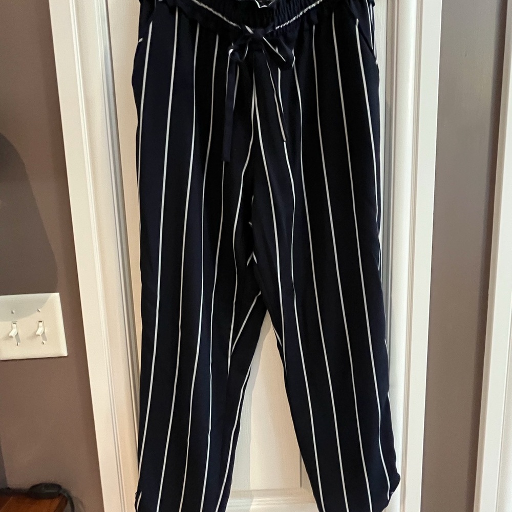 Zara Dressed Up Jogger Pants